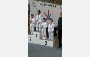 56c32f17d3ccc_20160124140553judo1fev2016.jpg